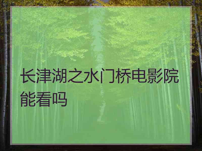 长津湖之水门桥电影院能看吗