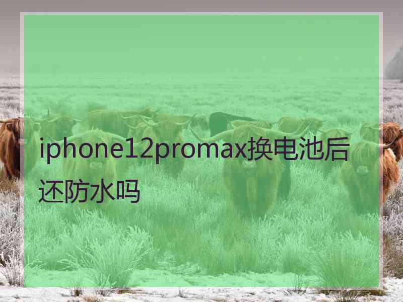 iphone12promax换电池后还防水吗