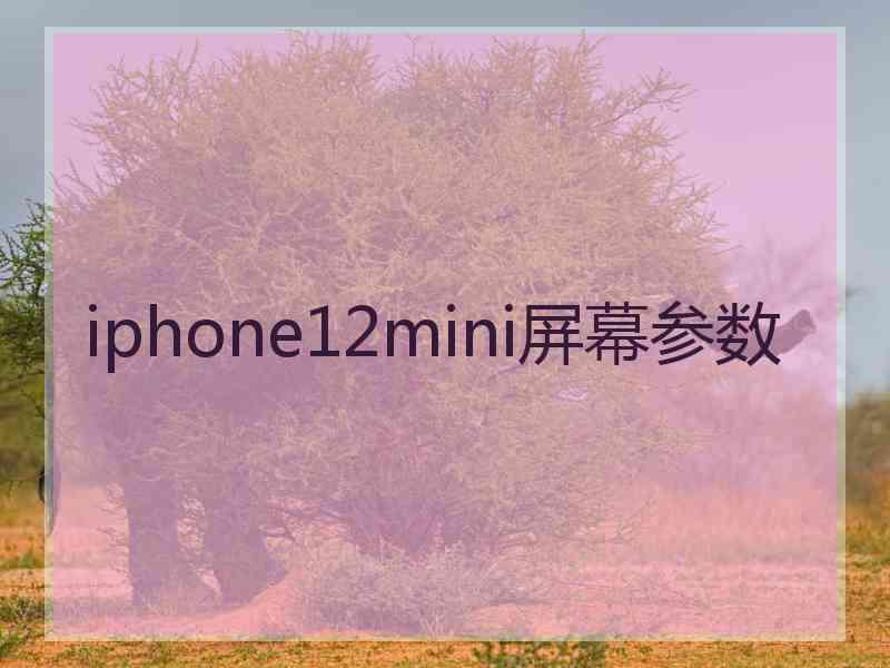 iphone12mini屏幕参数