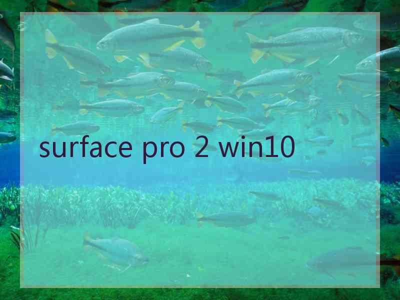 surface pro 2 win10