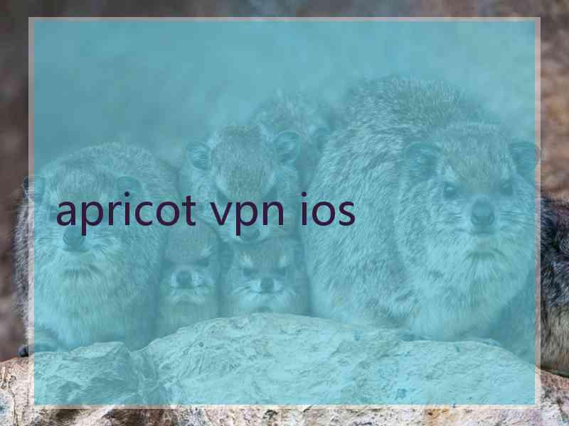 apricot vpn ios