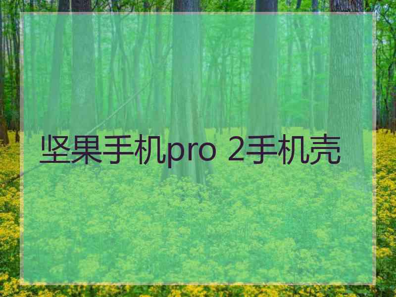 坚果手机pro 2手机壳