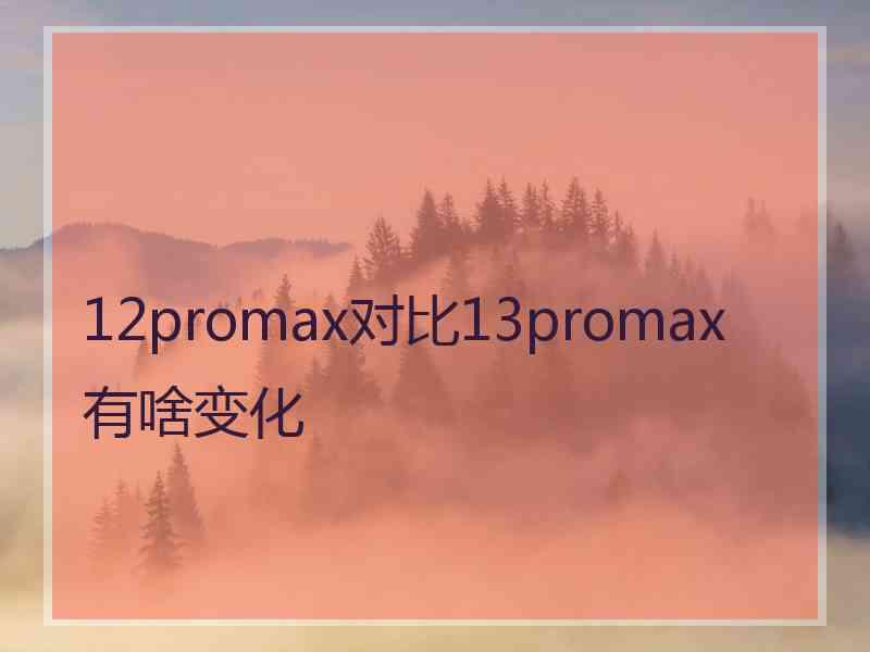 12promax对比13promax有啥变化