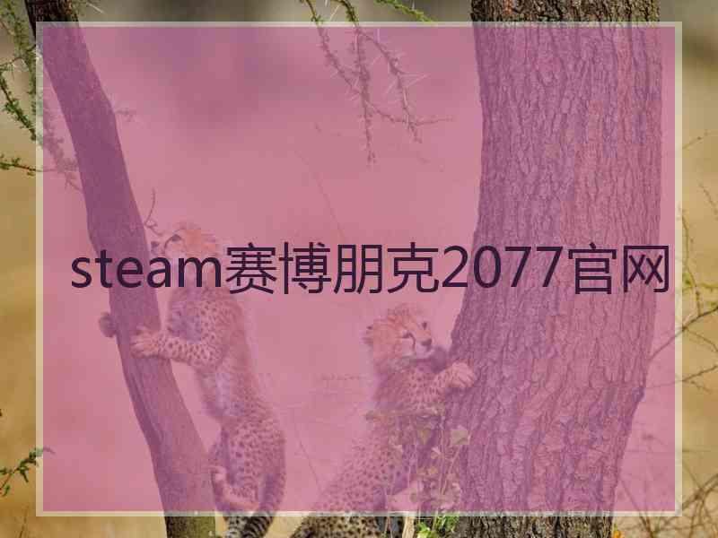 steam赛博朋克2077官网