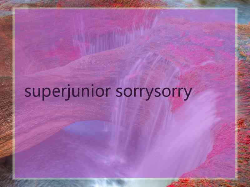 superjunior sorrysorry