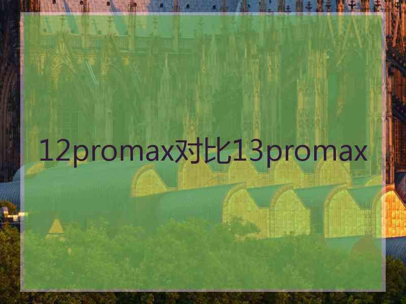 12promax对比13promax