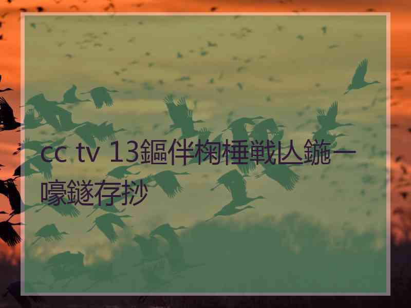 cc tv 13鏂伴椈棰戦亾鍦ㄧ嚎鐩存挱