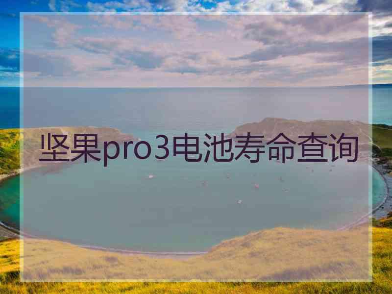 坚果pro3电池寿命查询