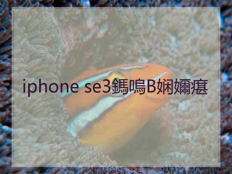 iphone se3鎷嗚В娴嬭瘎