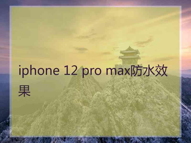 iphone 12 pro max防水效果