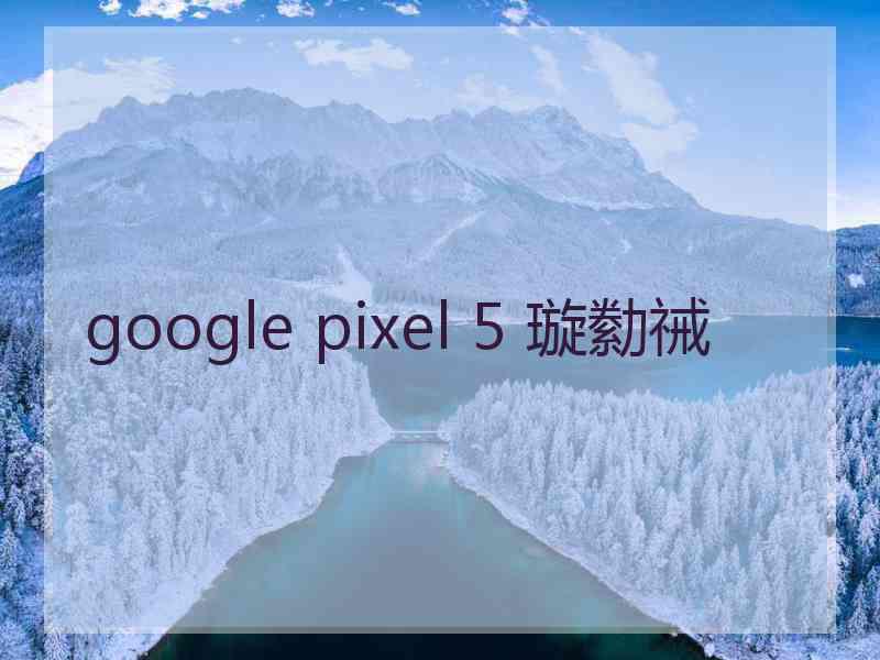 google pixel 5 璇勬祴