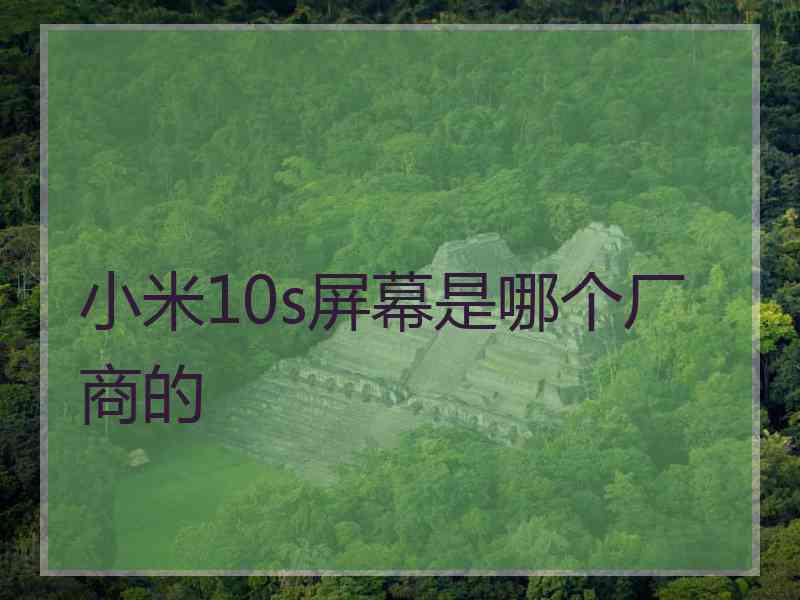 小米10s屏幕是哪个厂商的