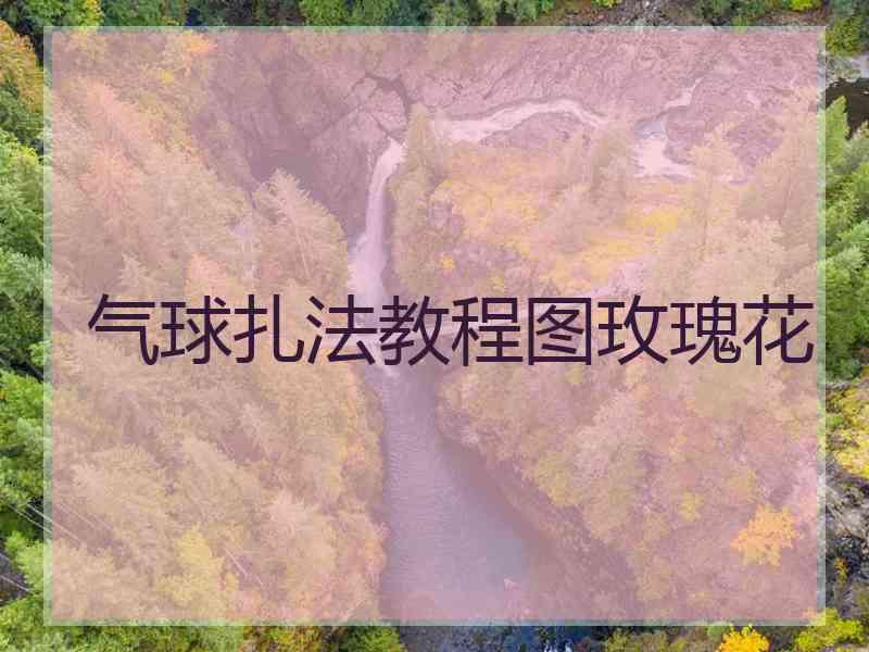 气球扎法教程图玫瑰花