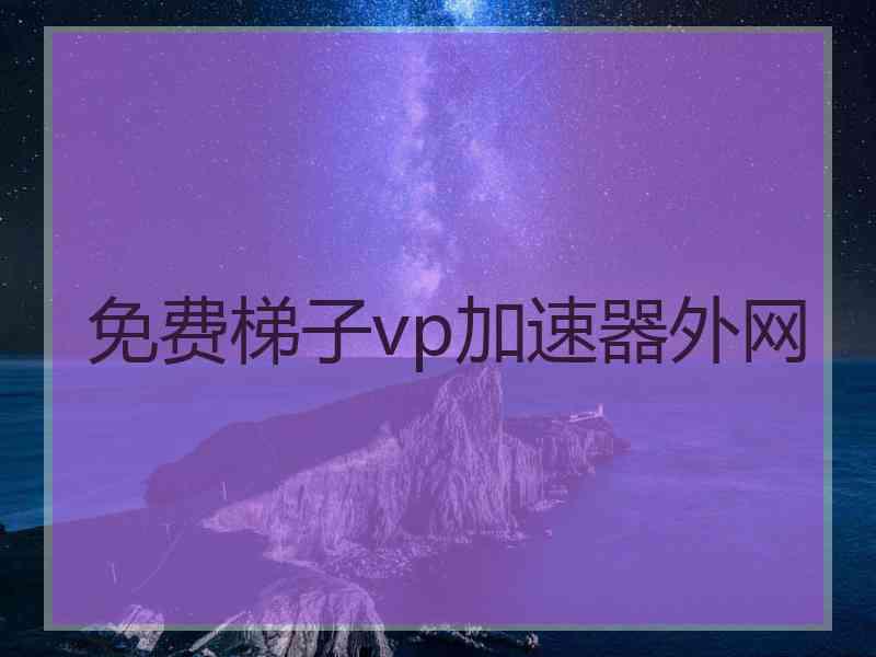 免费梯子vp加速器外网