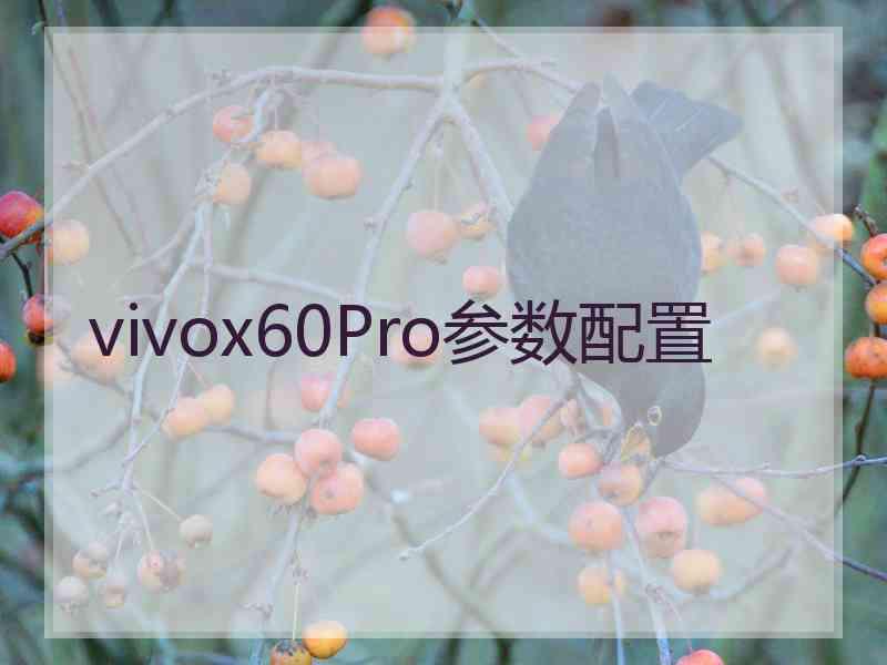 vivox60Pro参数配置