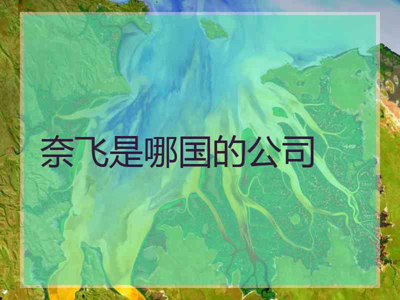 奈飞是哪国的公司