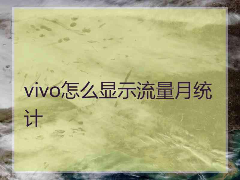 vivo怎么显示流量月统计