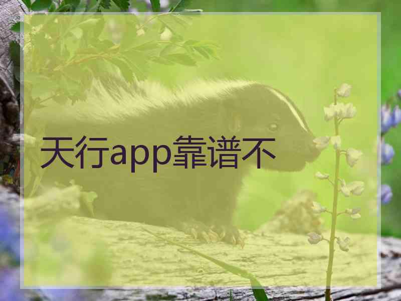 天行app靠谱不