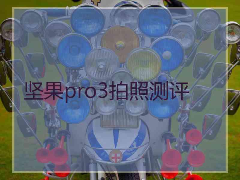 坚果pro3拍照测评