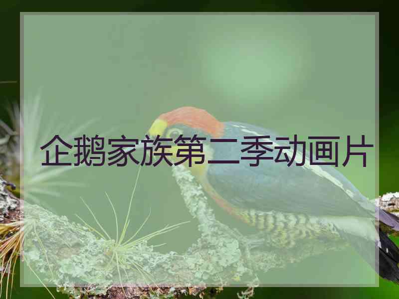 企鹅家族第二季动画片