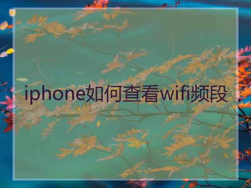 iphone如何查看wifi频段