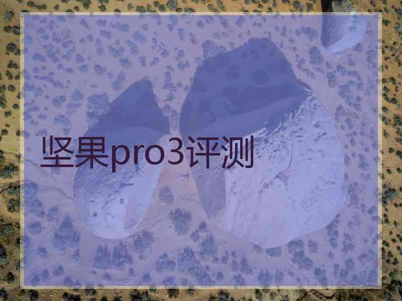 坚果pro3评测