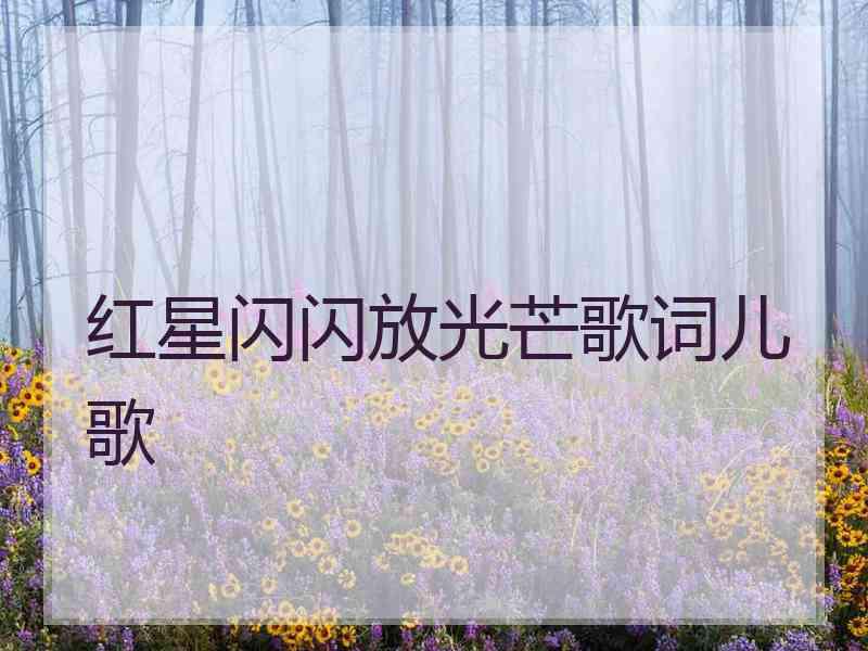 红星闪闪放光芒歌词儿歌