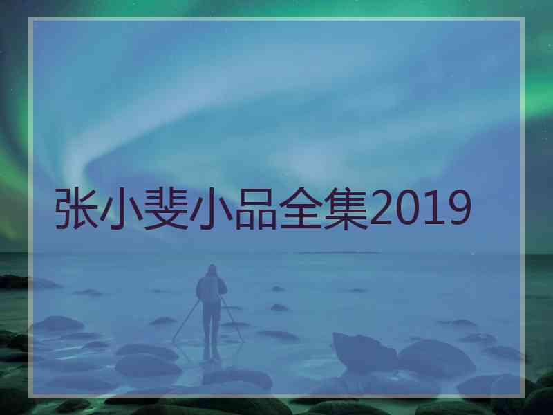 张小斐小品全集2019