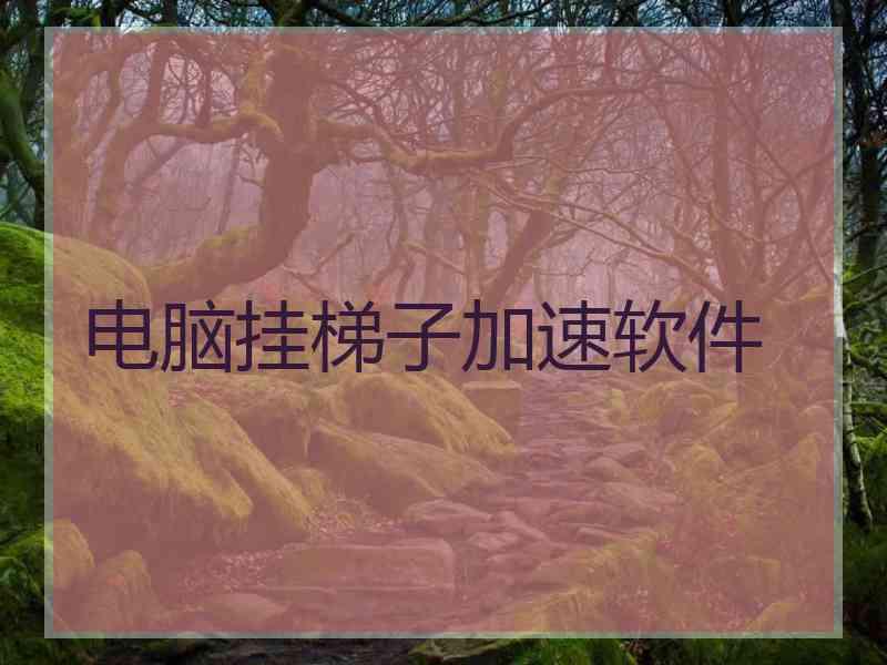 电脑挂梯子加速软件