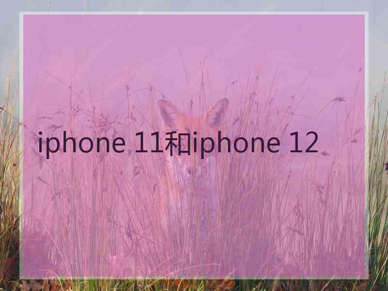 iphone 11和iphone 12