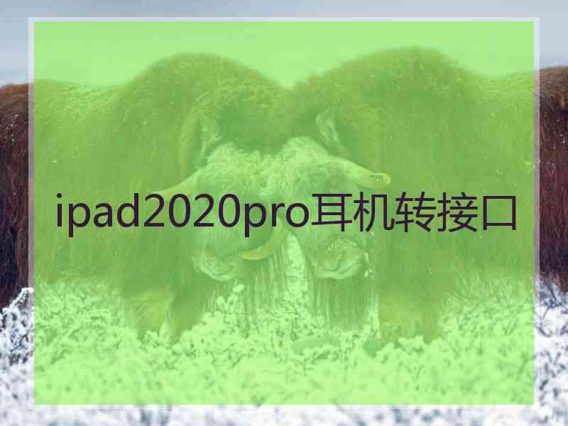 ipad2020pro耳机转接口