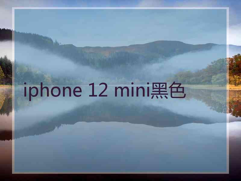 iphone 12 mini黑色