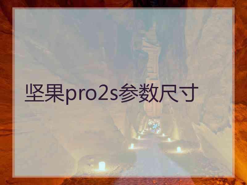 坚果pro2s参数尺寸