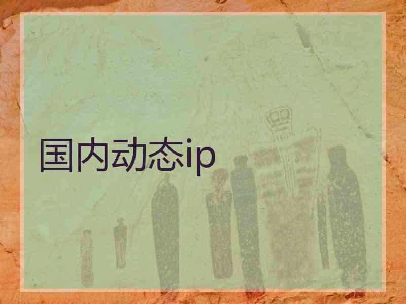 国内动态ip