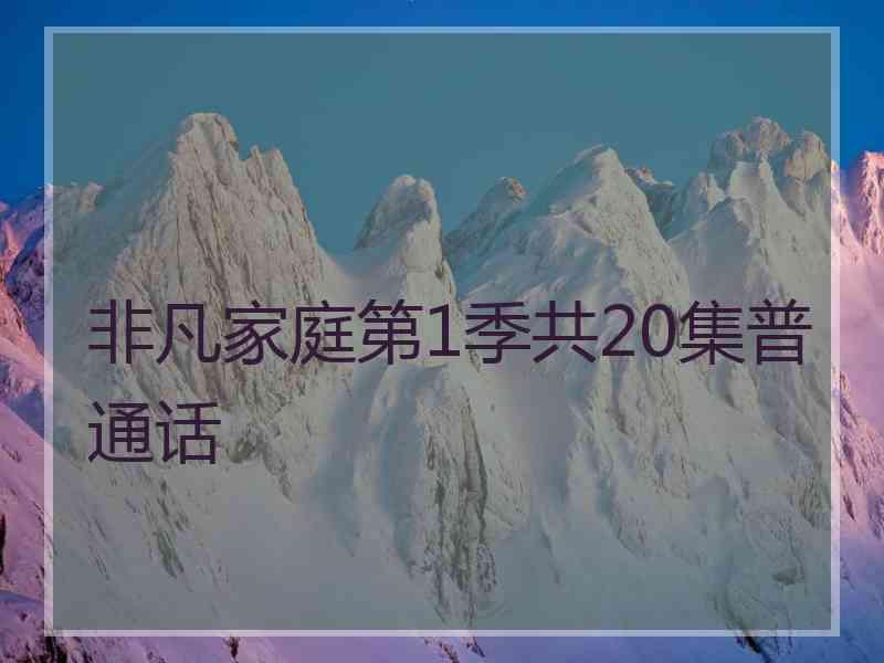 非凡家庭第1季共20集普通话