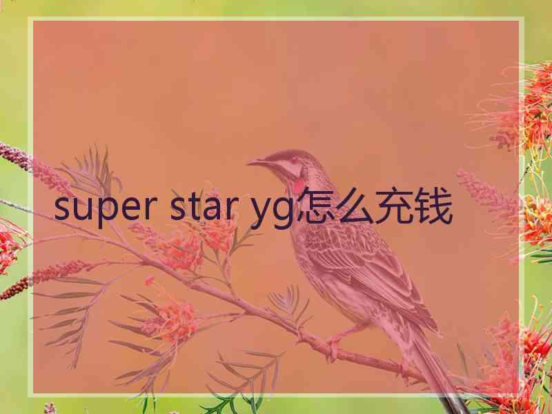 super star yg怎么充钱