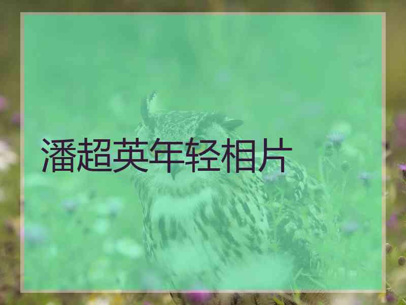 潘超英年轻相片