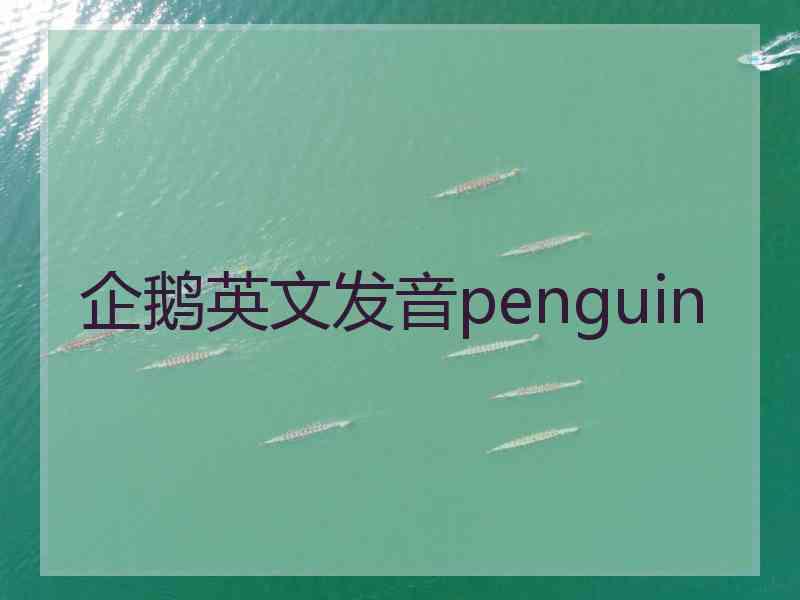 企鹅英文发音penguin