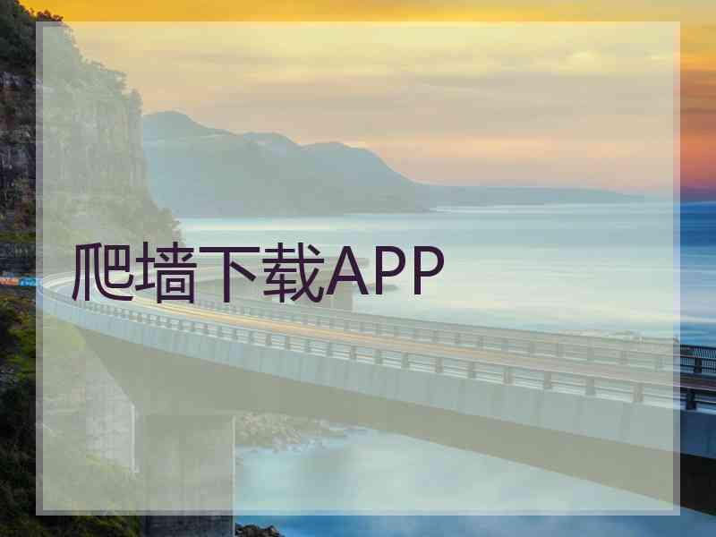 爬墙下载APP