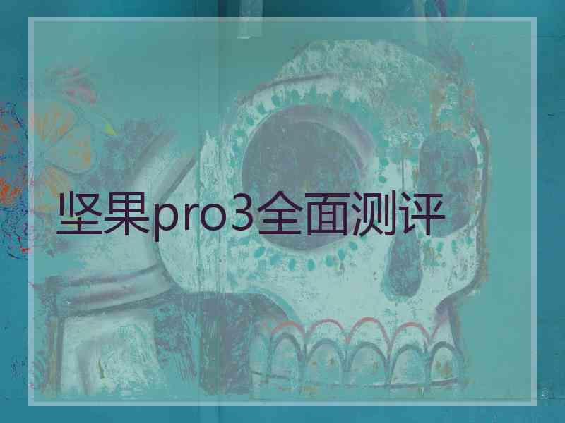 坚果pro3全面测评