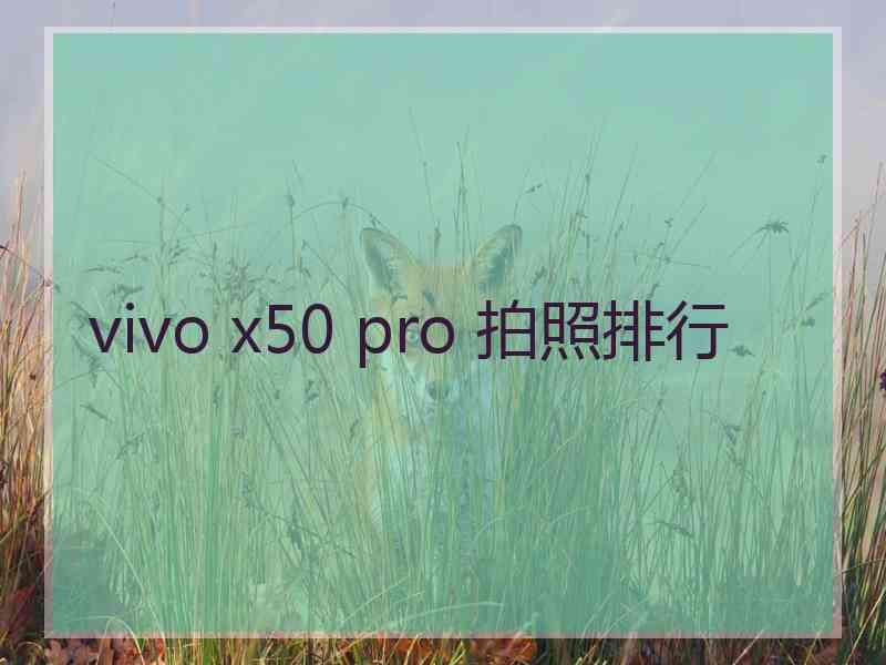 vivo x50 pro 拍照排行