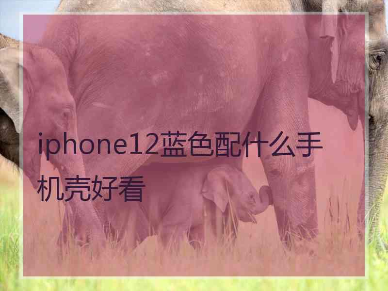 iphone12蓝色配什么手机壳好看