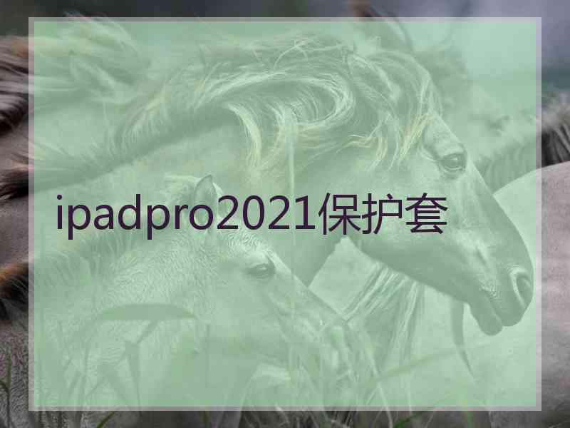 ipadpro2021保护套