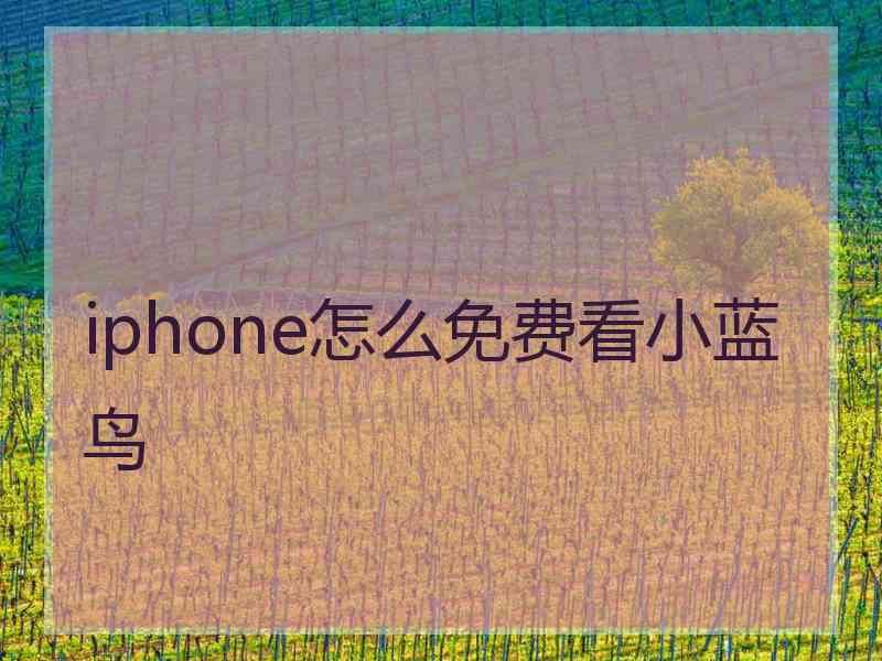 iphone怎么免费看小蓝鸟