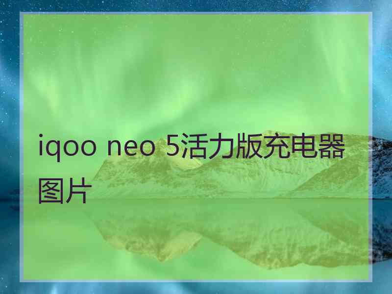 iqoo neo 5活力版充电器图片