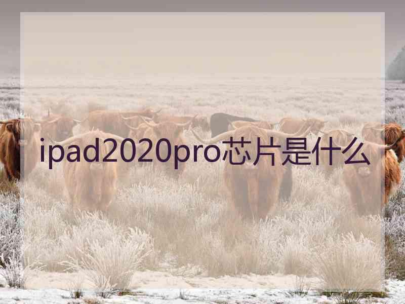 ipad2020pro芯片是什么