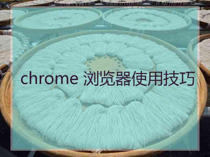 chrome 浏览器使用技巧