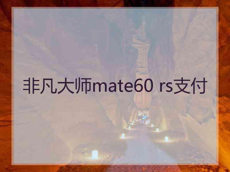 非凡大师mate60 rs支付