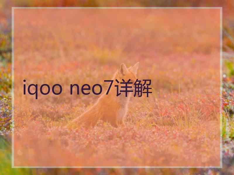 iqoo neo7详解