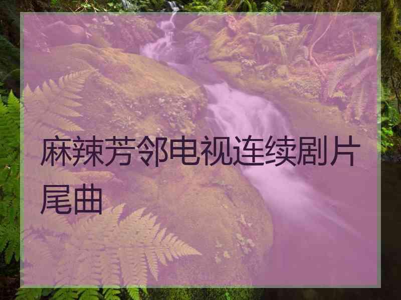 麻辣芳邻电视连续剧片尾曲